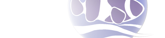 MFC - Fixed Plate Cloth Media Filters for Wastewater